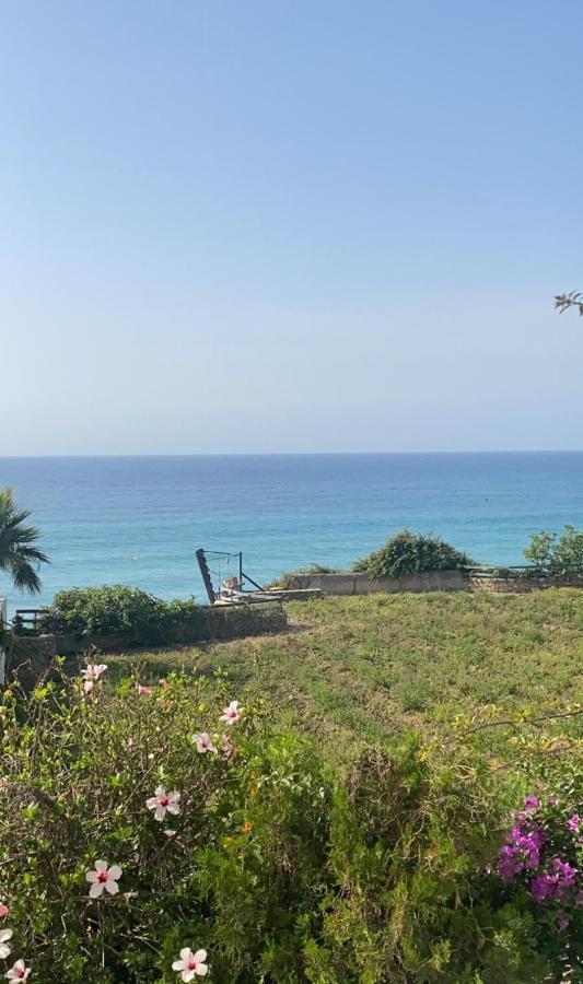 Apartamentos Balcon De Carabeo Nerja Dış mekan fotoğraf